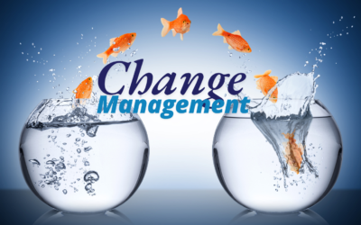 Why Change Management Matters for Retailers in ERP Projects